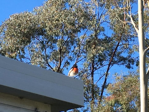 Applegate Lane Chalet - ACT Tourism 27