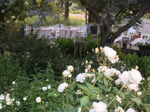 Applegate Lane Chalet - ACT Tourism 22