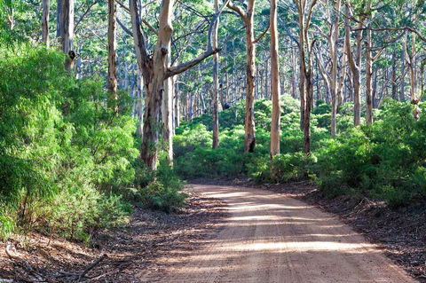 Margaret River Retreat - ACT Tourism 20