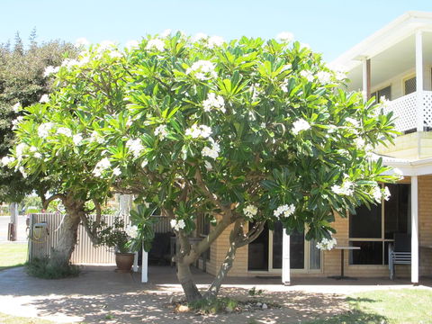 Kalbarri Riverfront Unit - ACT Tourism 6
