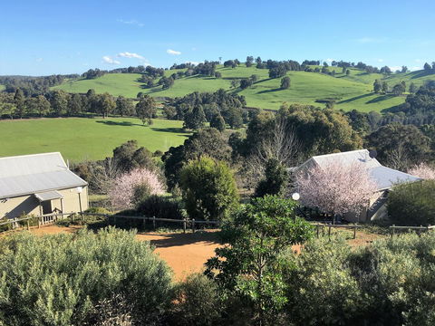 Balingup Highview Chalets - ACT Tourism 5