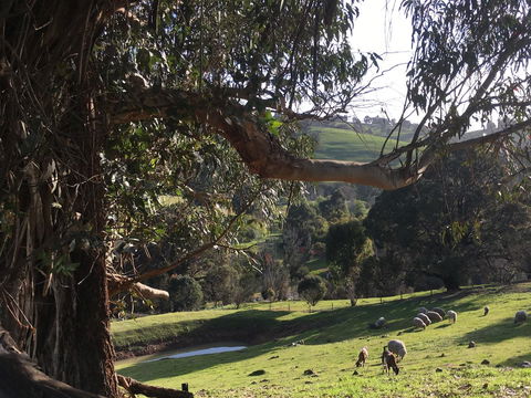 Balingup Highview Chalets - ACT Tourism 13