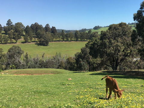 Balingup Highview Chalets - ACT Tourism 23