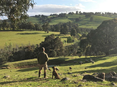 Balingup Highview Chalets - ACT Tourism 27