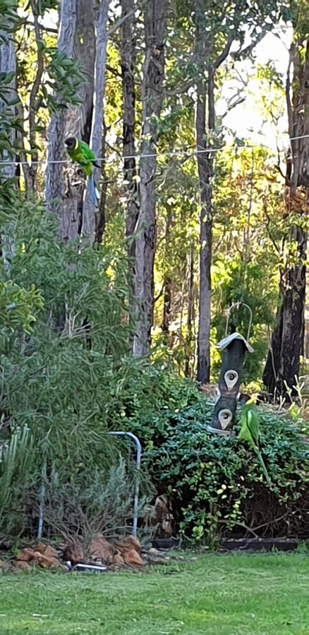 Di's Cabin In Dwellingup - ACT Tourism 6