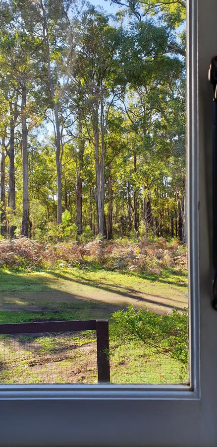 Di's Cabin In Dwellingup - ACT Tourism 2