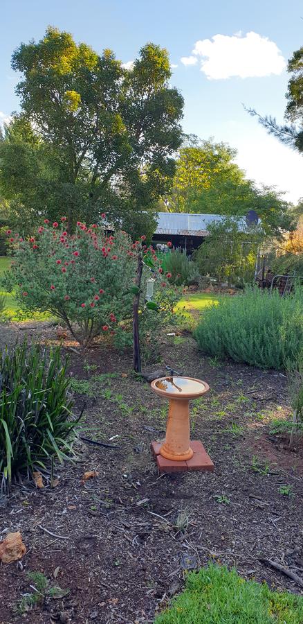 Di's Cabin In Dwellingup - ACT Tourism 14
