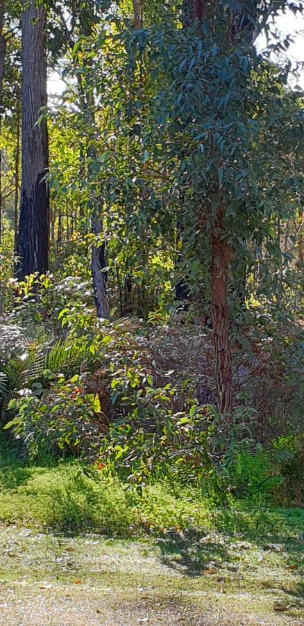 Di's Cabin In Dwellingup - ACT Tourism 8