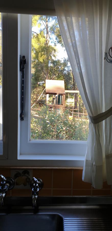 Di's Cabin In Dwellingup - ACT Tourism 15