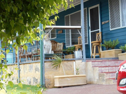 Moore River Cottage - ACT Tourism 2