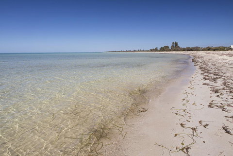 Boardwalk - ACT Tourism 24