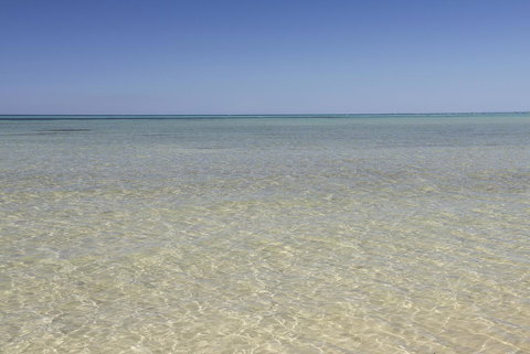 Boardwalk - ACT Tourism 23