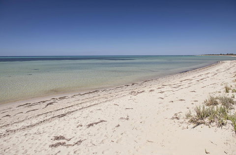 Boardwalk - ACT Tourism 0