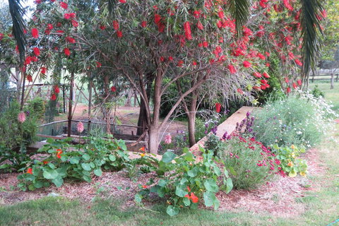 Bentwood Olive Grove Accommodation - ACT Tourism 21