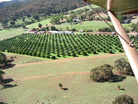 Bindoon's Windmill Farm - ACT Tourism 3