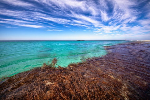 Discovery Resorts - Rottnest Island - ACT Tourism 24