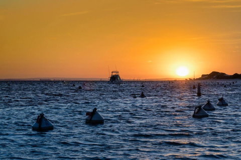 Discovery Resorts - Rottnest Island - ACT Tourism 27