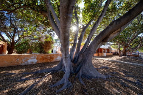 Discovery Resorts - Rottnest Island - ACT Tourism 23