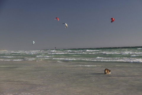 Dongara Tourist Park - ACT Tourism 33