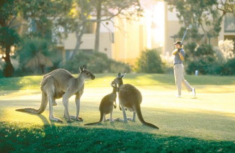 Ocean Reef Vista - ACT Tourism 22