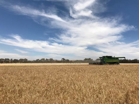 The Mains Guest House 2 Bedroom Farm Stay - ACT Tourism 17