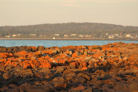 Tamar Solar Home - ACT Tourism 16