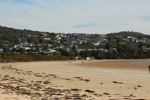 Tamar Solar Home - ACT Tourism 18