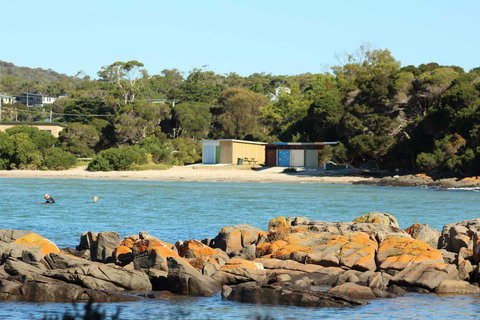 Tamar Solar Home - ACT Tourism 25