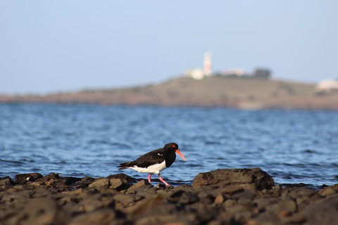 Tamar Solar Home - ACT Tourism 3