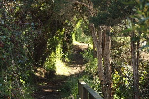 Tamar Solar Home - ACT Tourism 15