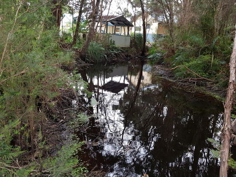 Strahan Retreat Holiday Park - ACT Tourism 33