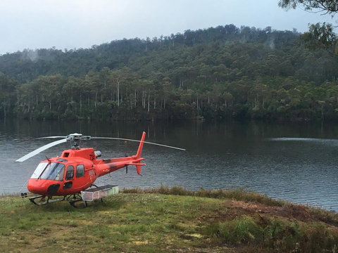 Tullah Lakeside Lodge - ACT Tourism 12