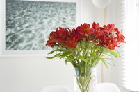 Book Kingston Accommodation Vacations ACT Tourism ACT Tourism