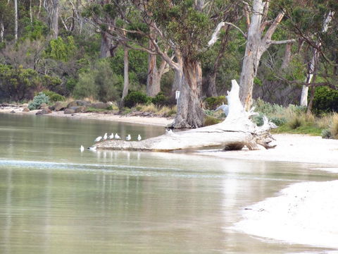 The Boat Shed - ACT Tourism 12