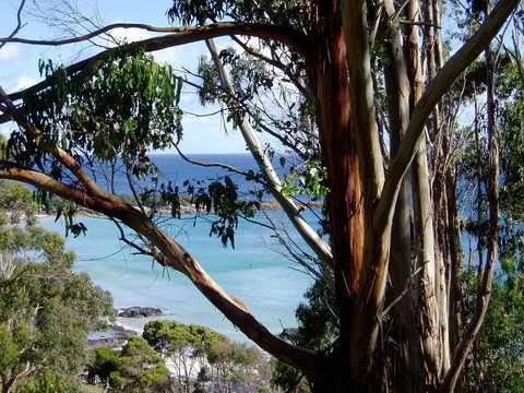 Seascape Beach House - ACT Tourism 8