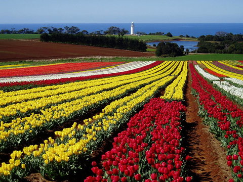 Seascape Beach House - ACT Tourism 27