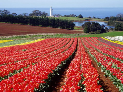 Seascape Beach House - ACT Tourism 26