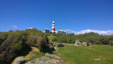 BIG4 Low Head Tourist Park - ACT Tourism 6