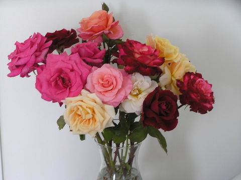 Auldington Hotel - ACT Tourism 30