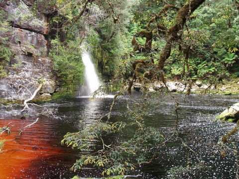 The Crays Accommodation - ACT Tourism 38