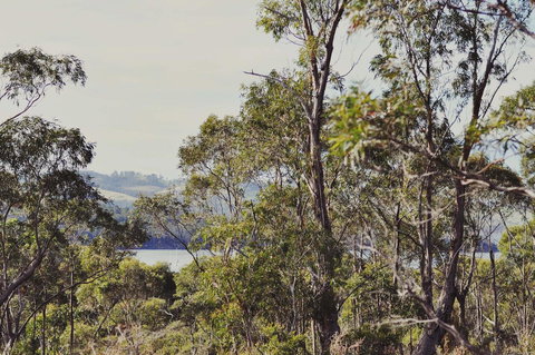 Oyster Cove Chalet - ACT Tourism 17