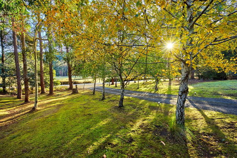 Oyster Cove Chalet - ACT Tourism 1