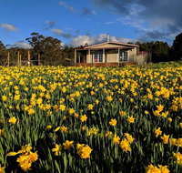 Mountain Blue Guest House - ACT Tourism