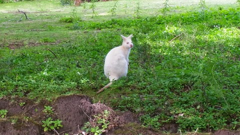 Bruny Ocean Cottage - ACT Tourism 9