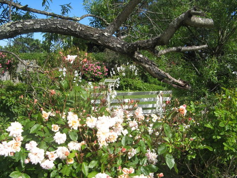 The Grove Cottages - ACT Tourism 11