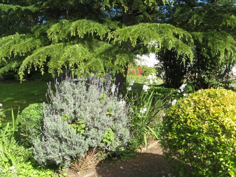 The Grove Cottages - ACT Tourism 12
