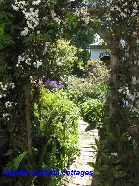 The Grove Cottages - ACT Tourism 3