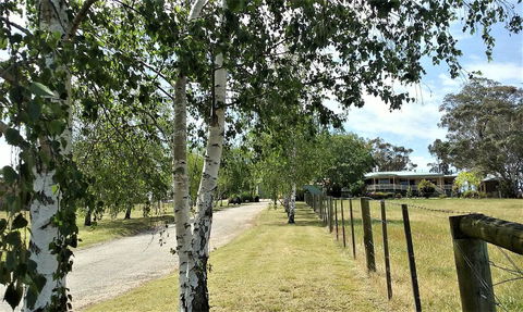 Nicholson BnB And Arts Centre - ACT Tourism 0