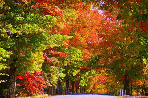 Oasis On Marsh - ACT Tourism 2