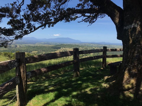 On The Wallaby Lodge - ACT Tourism 2